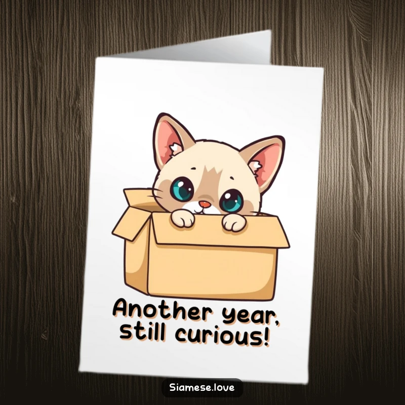 Funny Free Printable Birthday Card of a Siamese cat curiously peeking out from the top of a cardboard box.