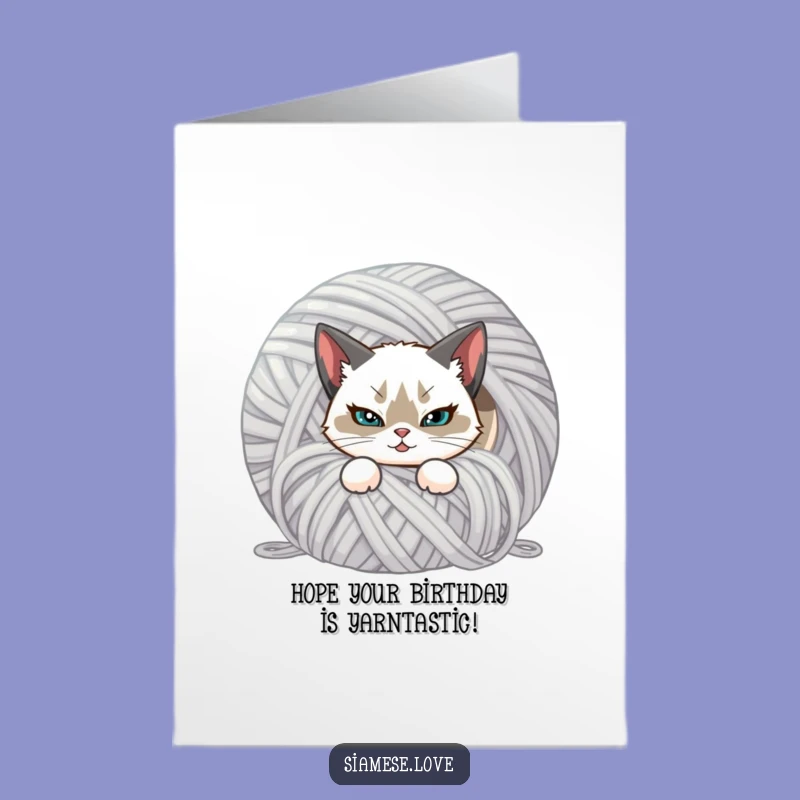 Funny Free Printable Birthday Card: Mischievous Cat, Your Playful Downloadable Gift!